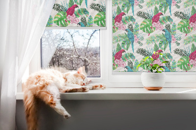 Fabric roller blind for window Parrots