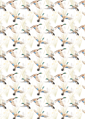 Blackout roller blind Flying ducks