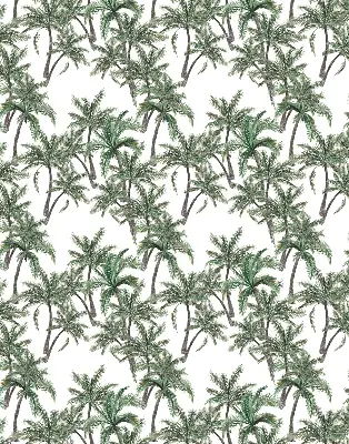Blackout roller blind palm tree print