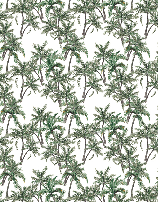 Blackout roller blind Palm trees