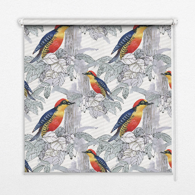 Fabric roller blind for window colorful bird pattern