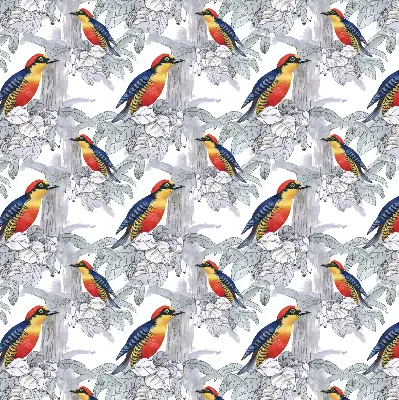 Fabric roller blind for window colorful bird pattern