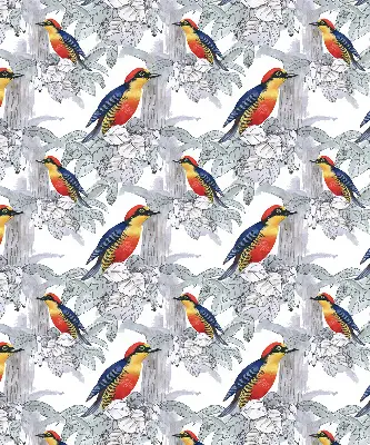 Fabric roller blind for window colorful bird pattern