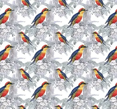 Fabric roller blind for window colorful bird pattern