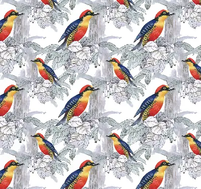 Fabric roller blind for window colorful bird pattern