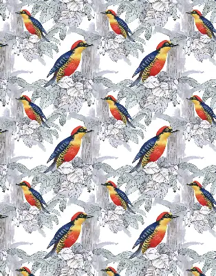 Fabric roller blind for window colorful bird pattern