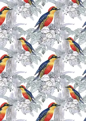 Fabric roller blind for window colorful bird pattern