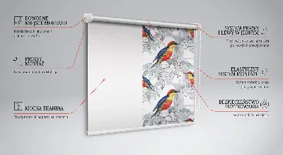 Fabric roller blind for window colorful bird pattern