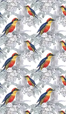 Fabric roller blind for window colorful bird pattern