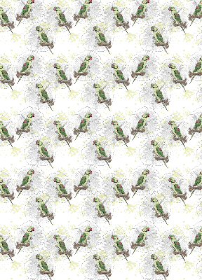 Fabric roller blind for window Parrots on a branch