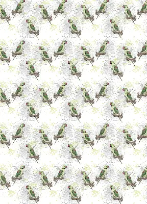 Fabric roller blind for window with parrots on a branch pattern
