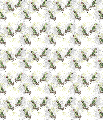 Fabric roller blind for window Parrots on a branch