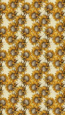 Fabric roller blind for window sunflower shade