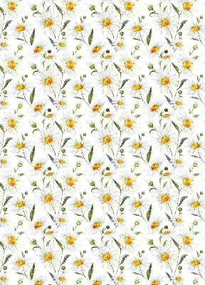 Blackout roller blind with daisies pattern