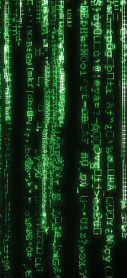 Blackout roller blind for window Green ciphers
