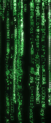 Blackout roller blind for window Green ciphers