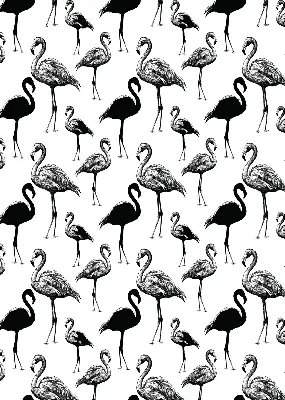 Fabric roller blind for window black flamingos print