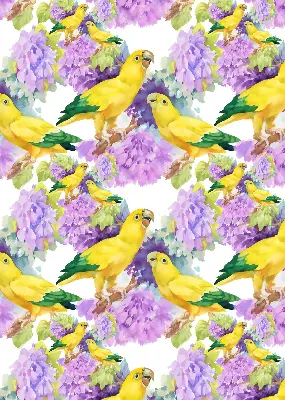Fabric roller blind for window with yellow parrots print