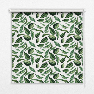 Fabric roller blind for window Leaves falling from trees