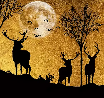 Blackout roller blind for window deer at night design