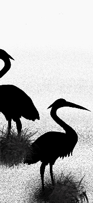 Blackout roller blind Herons