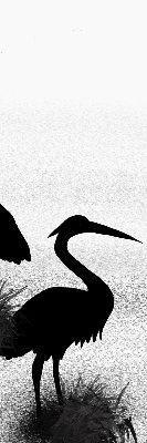 Blackout roller blind Herons