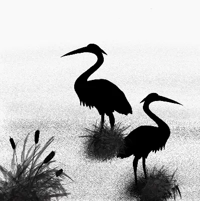 Blackout roller blind Herons print