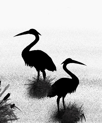 Blackout roller blind Herons