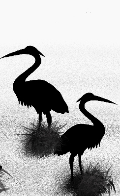 Blackout roller blind Herons