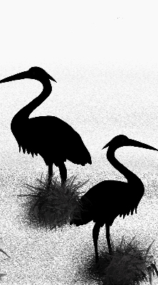 Blackout roller blind Herons