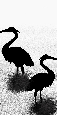 Blackout roller blind Herons