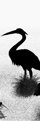 Blackout roller blind Herons