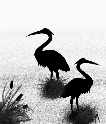 Blackout roller blind Herons