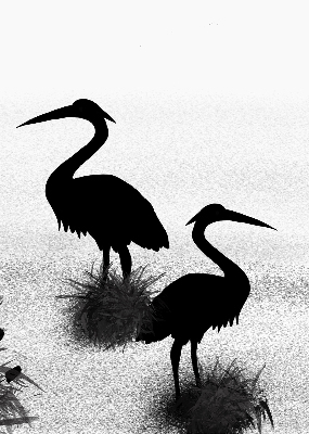 Blackout roller blind Herons