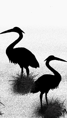 Blackout roller blind Herons