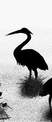 Blackout roller blind Herons