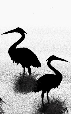 Blackout roller blind Herons
