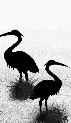 Blackout roller blind Herons