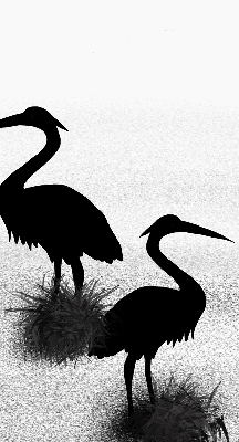 Blackout roller blind Herons