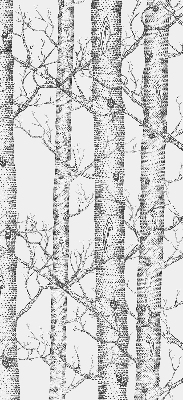 Fabric roller blind for windows