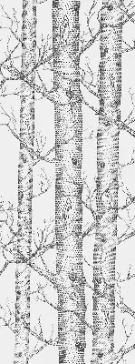 Fabric roller blind for windows