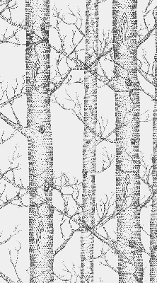 Fabric roller blind for windows