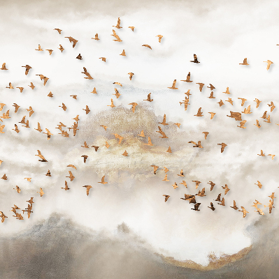 Fabric roller blind for window A flock of birds