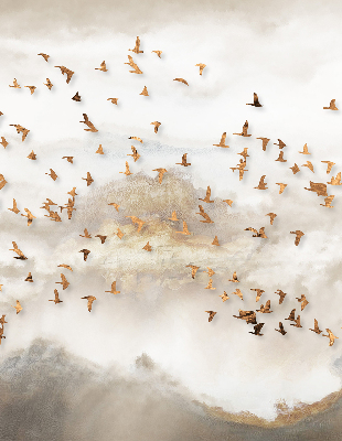 Fabric roller blind for window A flock of birds