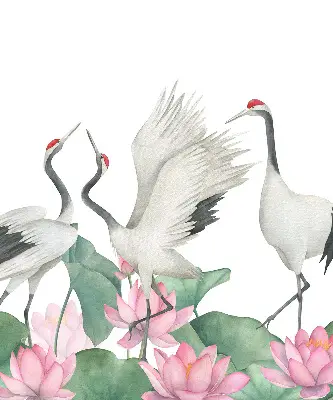 Blackout roller blind with cranes in the lilies print