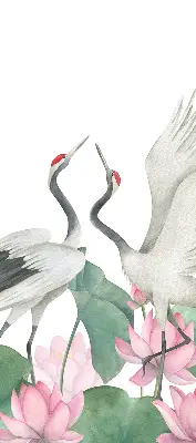 Blackout roller blind with cranes in the lilies print