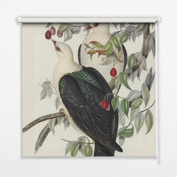 Fabric roller blind for window Birds on a branch