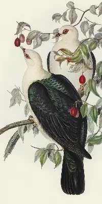 Fabric roller blind for window birds on a branch pattern