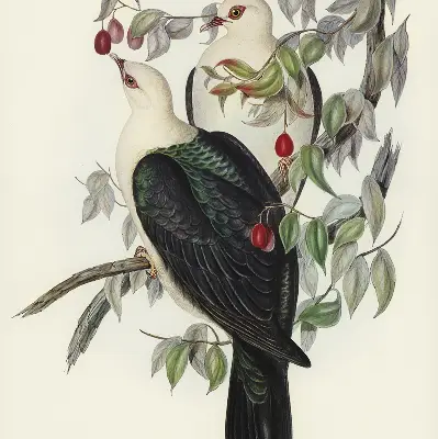 Fabric roller blind for window birds on a branch pattern