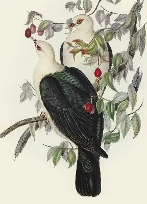 Fabric roller blind for window birds on a branch pattern